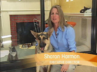Humane Society Telethon 2